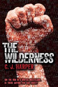 The Wilderness Read online