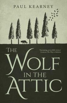 The Wolf in the Attic Read online