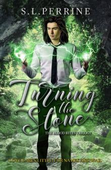 Turning the Stone (The Blood Rites Trilogy Book 2) Read online