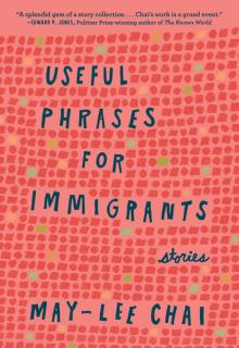 Useful Phrases for Immigrants Read online