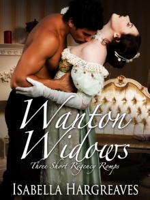 Wanton Widows: Three Short Regency Romps Read online