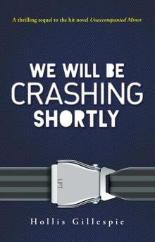We Will Be Crashing Shortly Read online