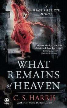 What Remains of Heaven sscm-5 Read online