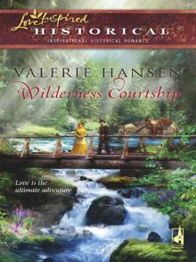 Wilderness Courtship Read online