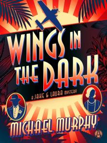 Wings in the Dark Read online
