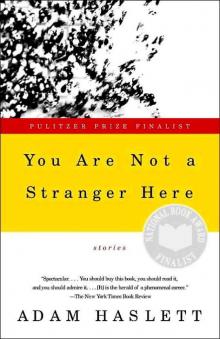 You Are Not A Stranger Here Read online