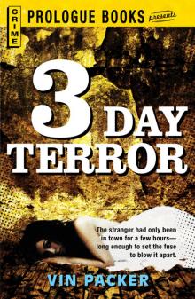 3 Day Terror Read online