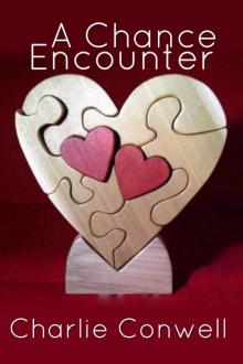 A Chance Encounter Read online