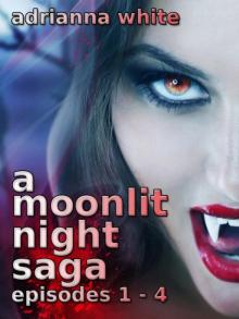 A Moonlit Night Saga: Episodes 1 - 4