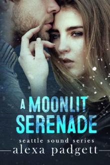 A Moonlit Serenade Read online