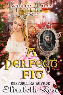 A Perfect Fit: (Cinderella) (Tangled Tales Series Book 6)