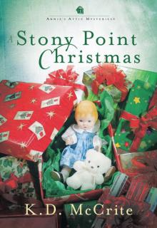 A Stony Point Christmas Read online