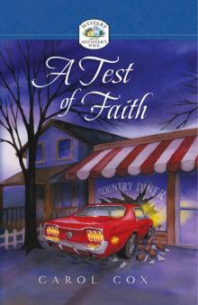 A Test of Faith Read online
