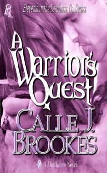 A Warrior's Quest Read online