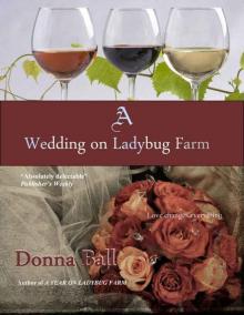 A Wedding on Ladybug Farm Read online