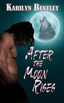 After the Moon Rises Read online