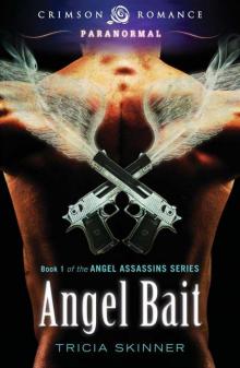 Angel Bait (Angel Assassins #1) Read online