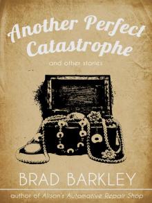 Another Perfect Catastrophe Read online