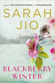 Blackberry Winter: A Novel Read online