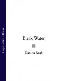 Bleak Water Read online