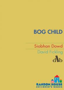 Bog Child Read online