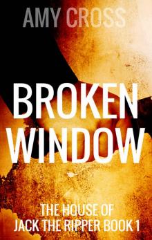 Broken Window Read online