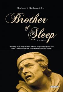 Brother of Sleep: A Novel Read online