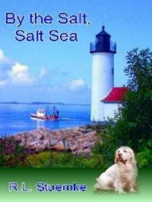 By the Salt, Salt Sea Read online