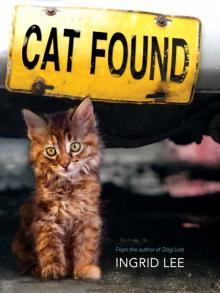 Cat Found