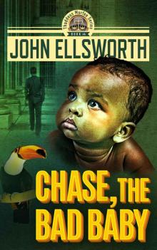 Chase, the Bad Baby: A Legal and Medical Thriller (Thaddeus Murfee Legal Thriller Series Book 4) Read online