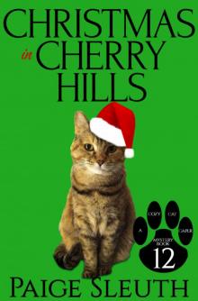 Christmas in Cherry Hills Read online