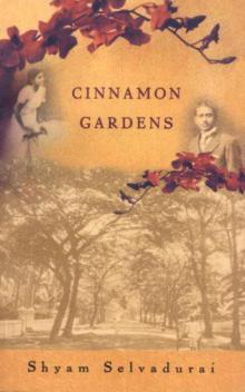 Cinnamon Gardens Read online