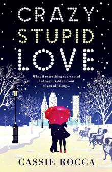Crazy Stupid Love (Blame it on New York) Read online