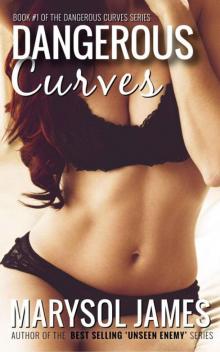 Dangerous Curves Read online