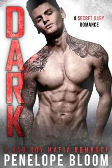 Dark: A Bad Boy Secret Baby Romance (Citrione Crime Family) Read online