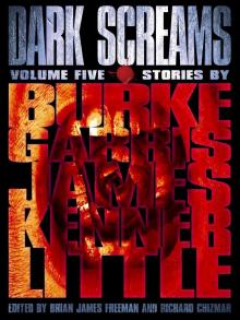 Dark Screams, Volume 5