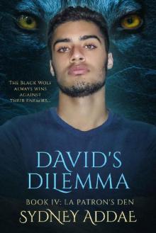 David's Dilemma (La Patron's Den Book 4) Read online