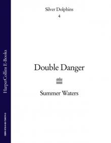 Double Danger Read online