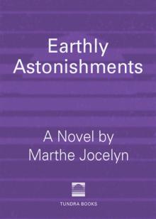 Earthly Astonishments Read online