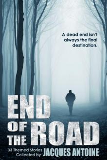 End of the Road Read online