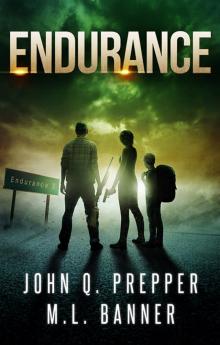 Endurance: A Post-Apocalyptic Thriller (Highway Book 2) Read online