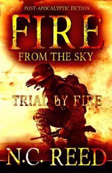 Fire From the Sky: Trial by Fire Read online