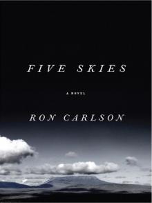 Five Skies Read online
