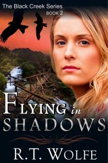 Flying in Shadows (The Black Creek Series, Book 2) Read online