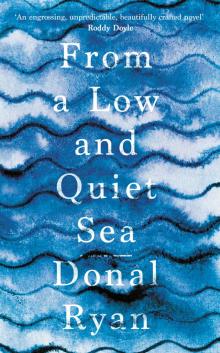 From a Low and Quiet Sea Read online