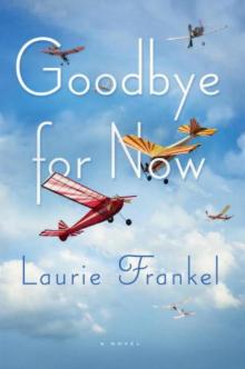 Goodbye for Now: A Novel Read online