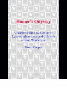 Homer's Odyssey Read online
