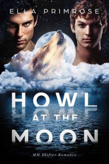 Howl At The Moon: MM Shifter Romance Read online