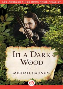 In a Dark Wood Read online