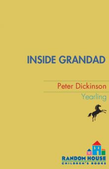 Inside Grandad Read online